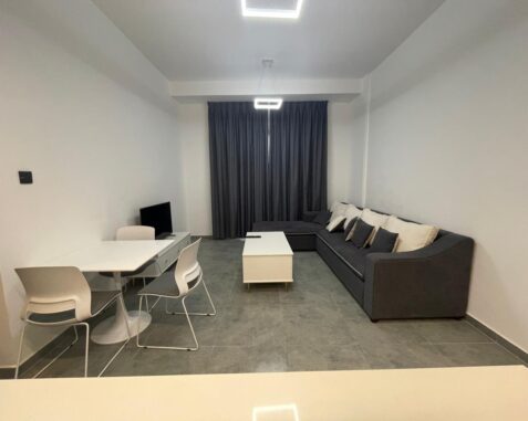 1 bhk for rent in inter national city