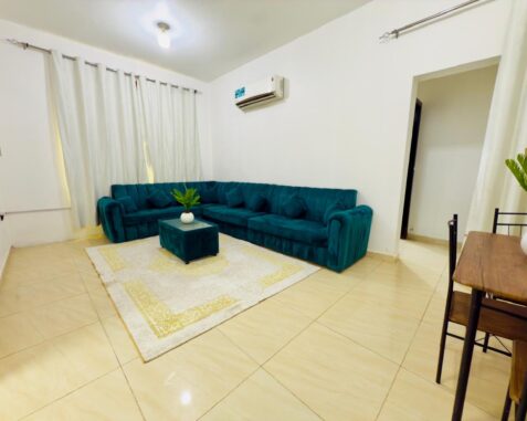 1 BHK for rent in international city