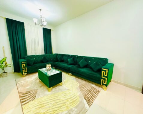 1 BHK for rent in international city