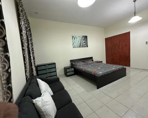 studio Apartment  for rent in inter national city IN FANCE CLUSTER