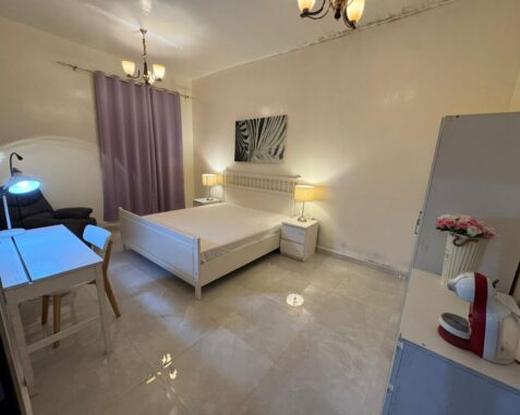 1bhk for rent in international city