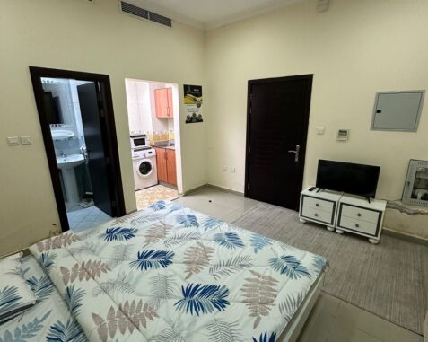 1 BHK for rent in dubai